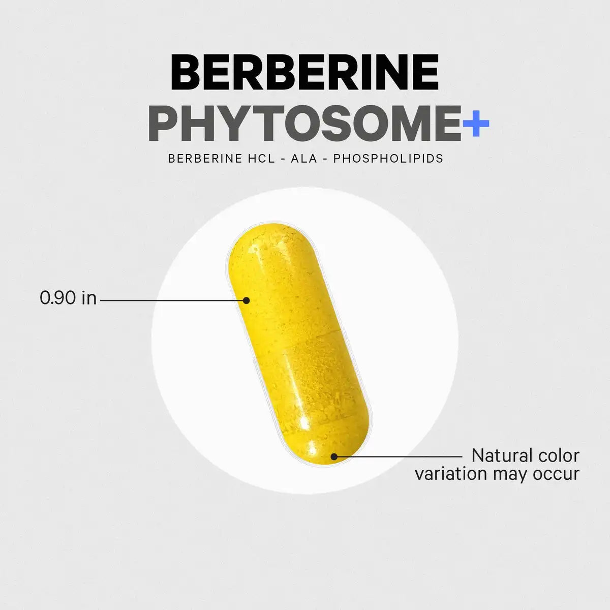 Berberine Phytosome+