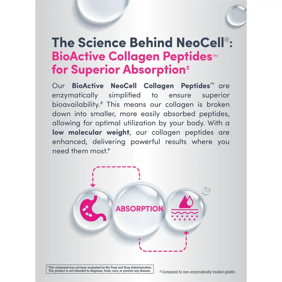 Grassfed Collagen Peptides - Unflavored