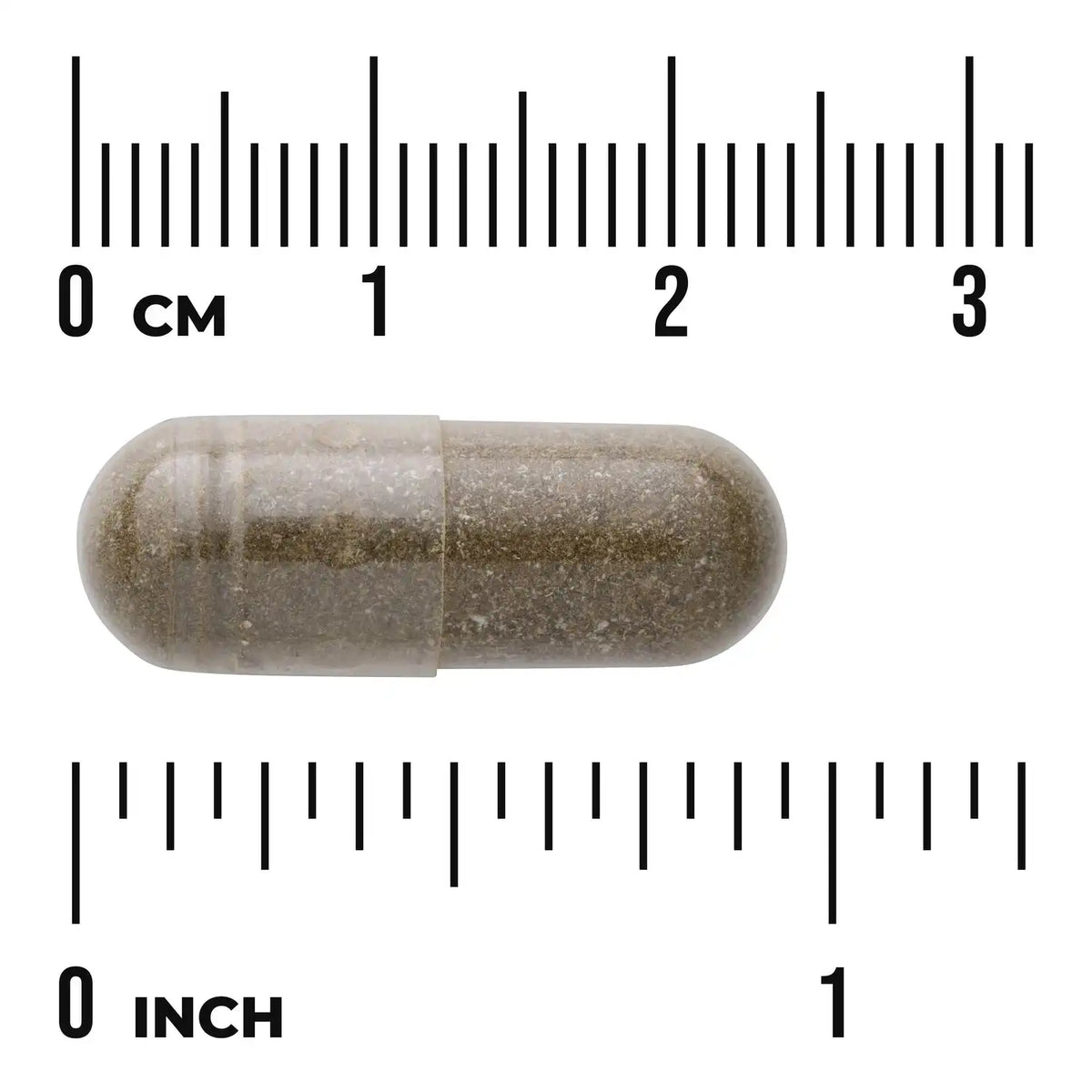 Full Spectrum Sweet Wormwood (Artemisia annua)