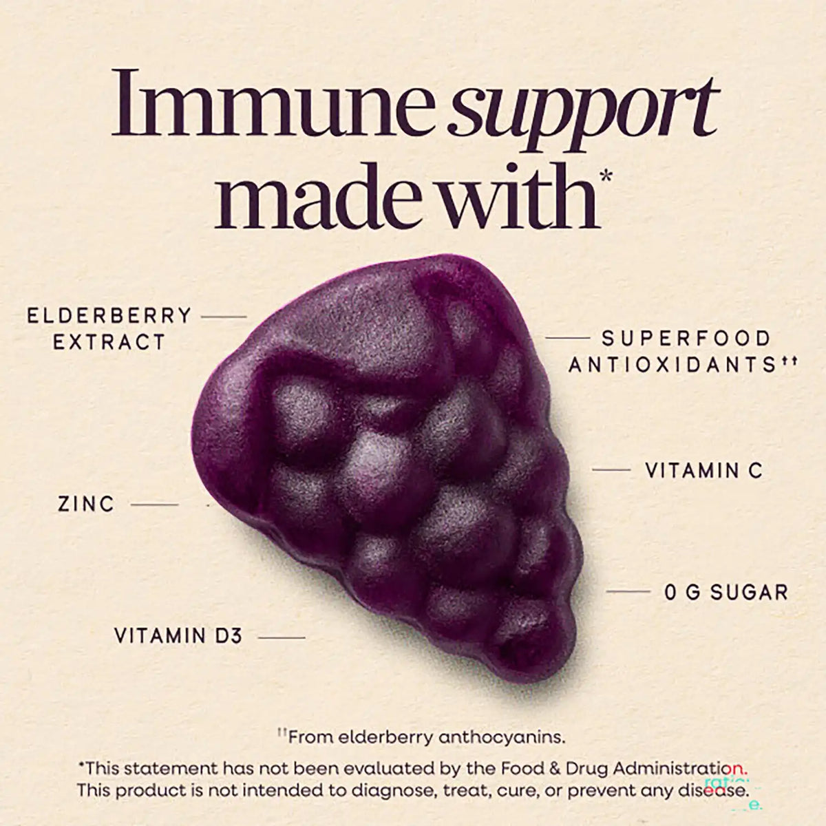 Sambucus Elderberry Immune Gummy - Zero Sugar