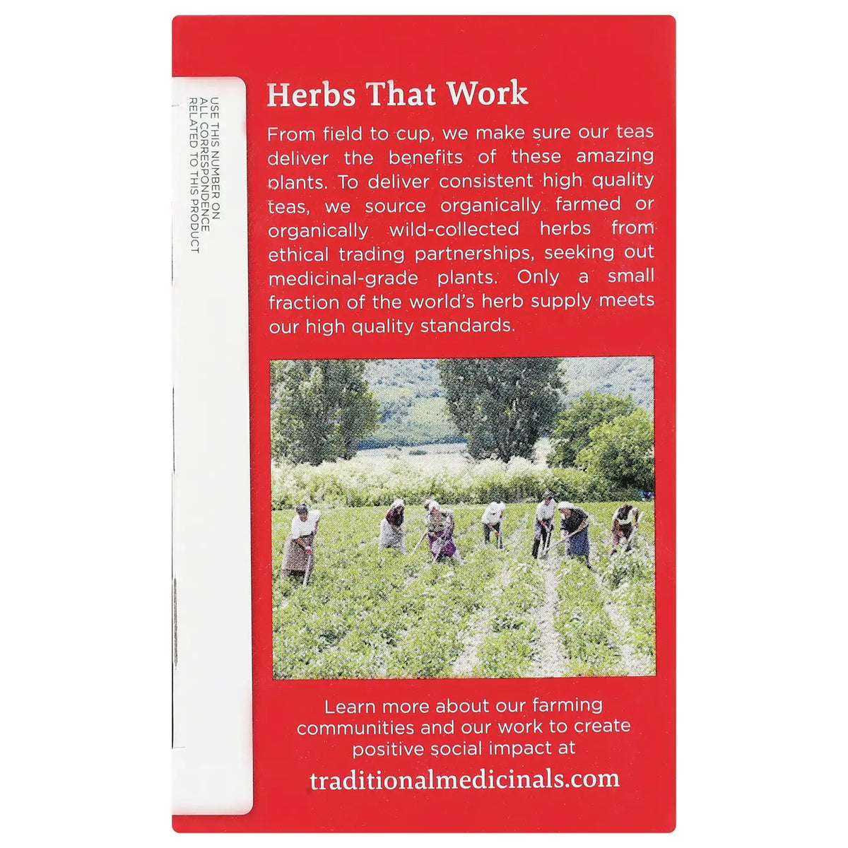 Organic Echinacea Plus Tea - Elderberry