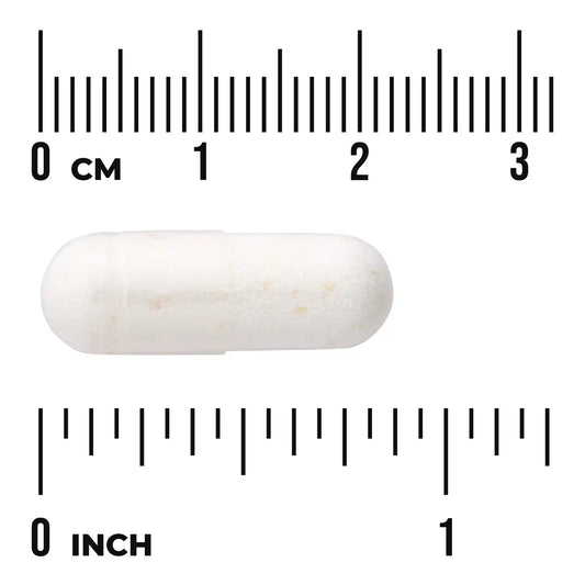 Lactobacillus Acidophilus