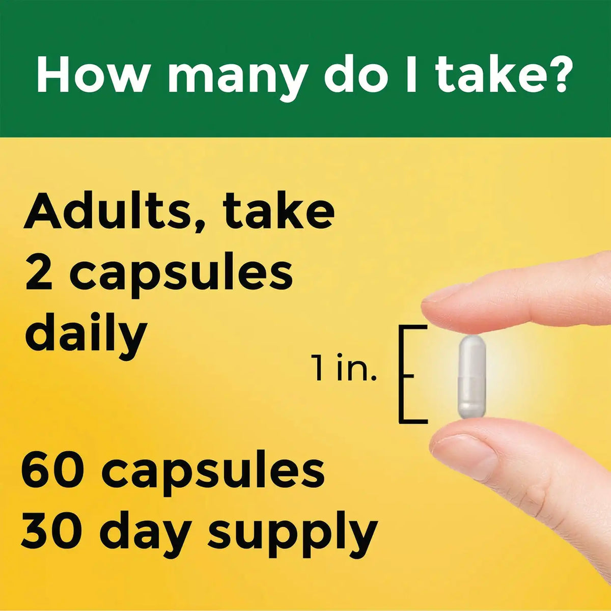 Magnesium Complex with D3 & Zinc