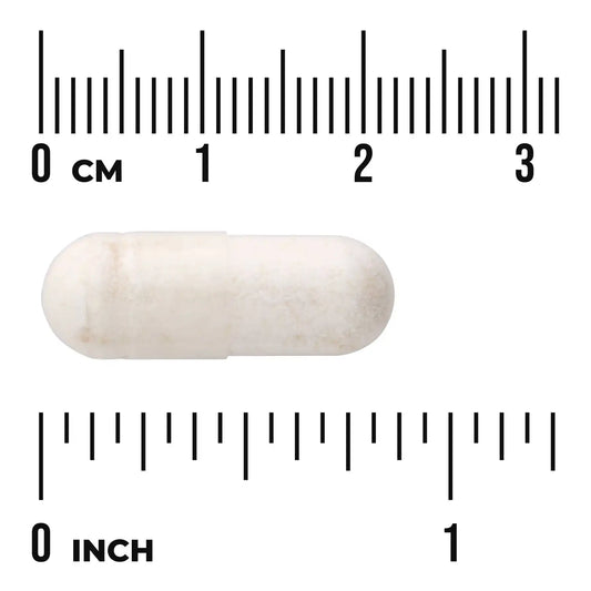 Probiotic with Digestive Enzymes