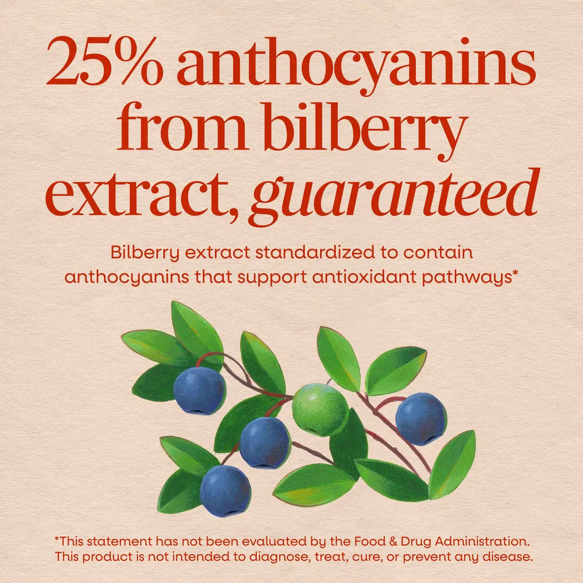 Bilberry