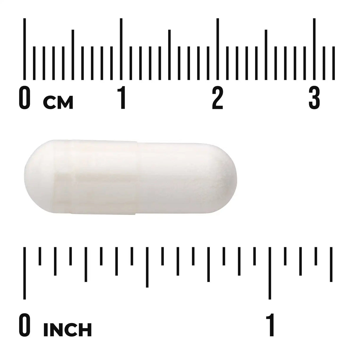 Lactobacillus Acidophilus