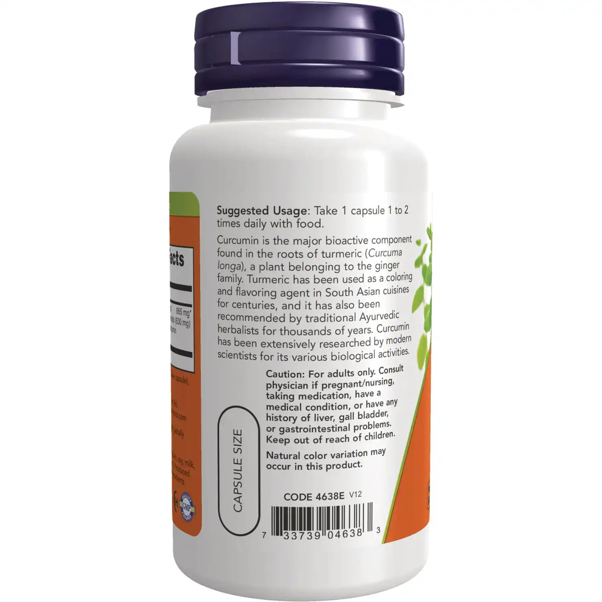 Turmeric Curcumin