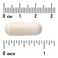 Probiotic Complex