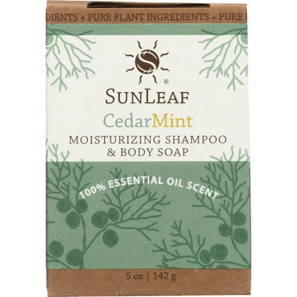 Moisturizing Shampoo and Body Soap - Cedar Mint