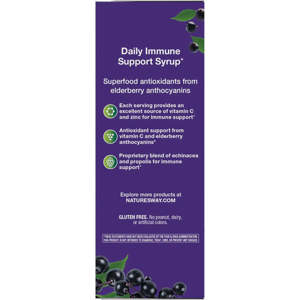 Sambucus Immune Elderberry Syrup