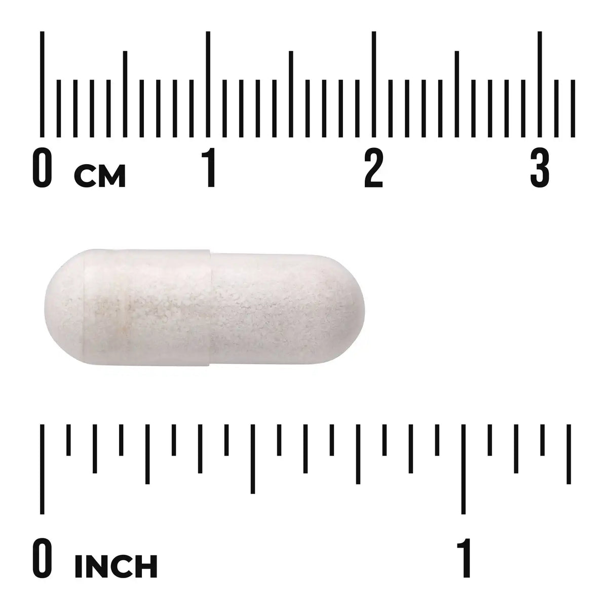 Bacillus Coagulans - Spore Form