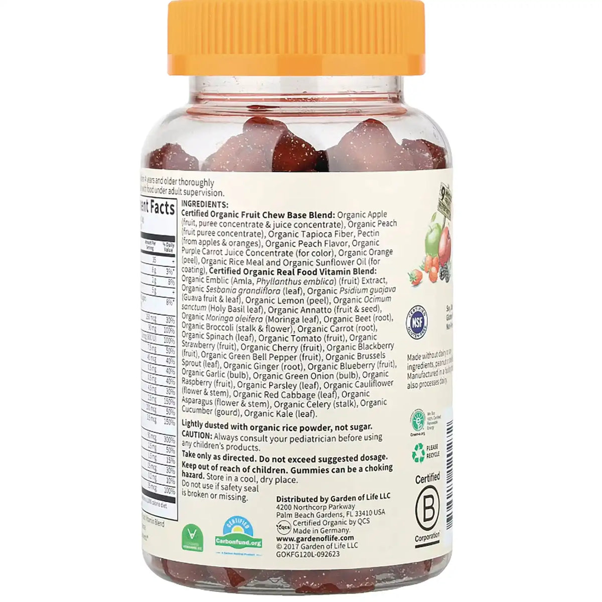 Organics Kids Multi Gummies - Fruit