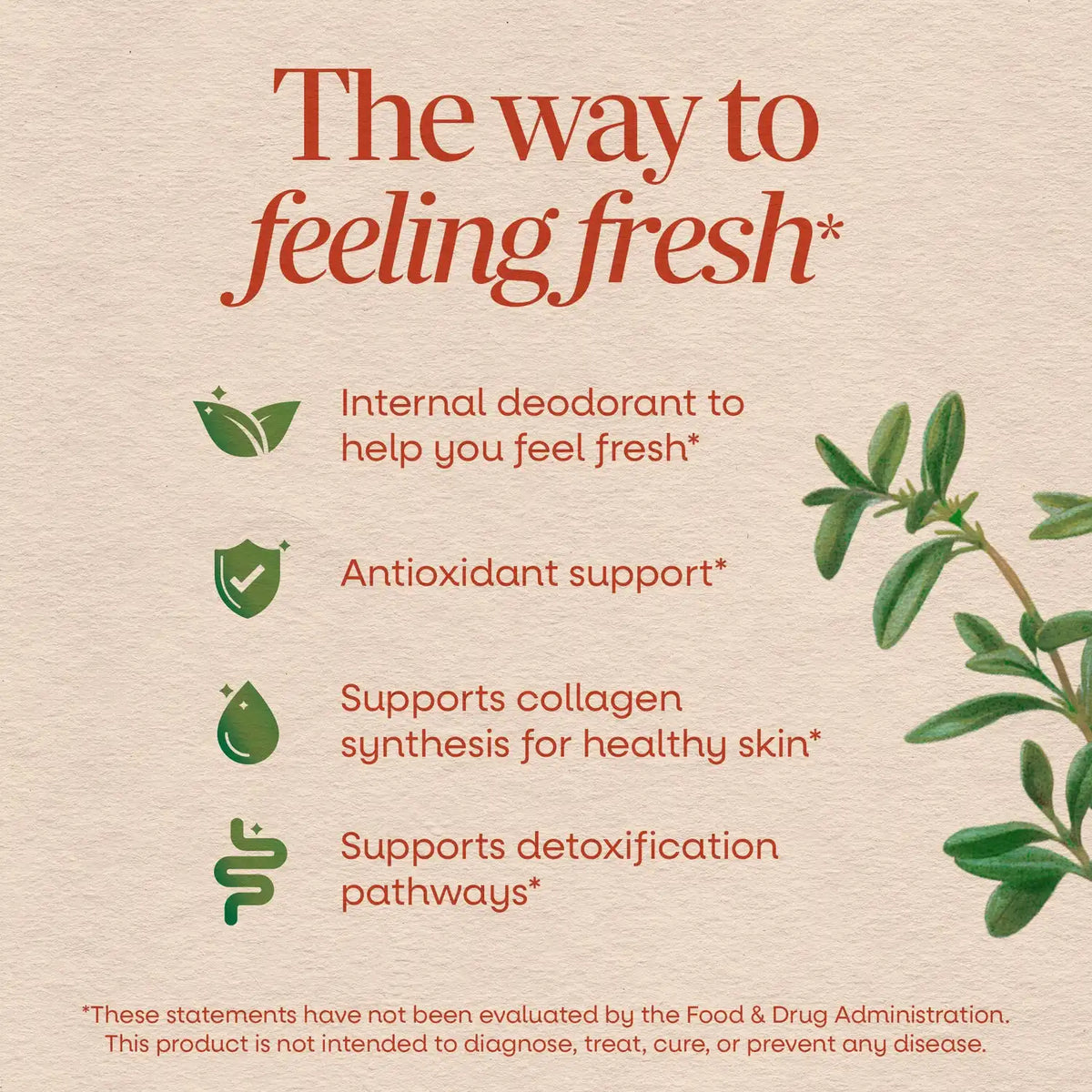 Chlorofresh Chlorophyll Concentrate