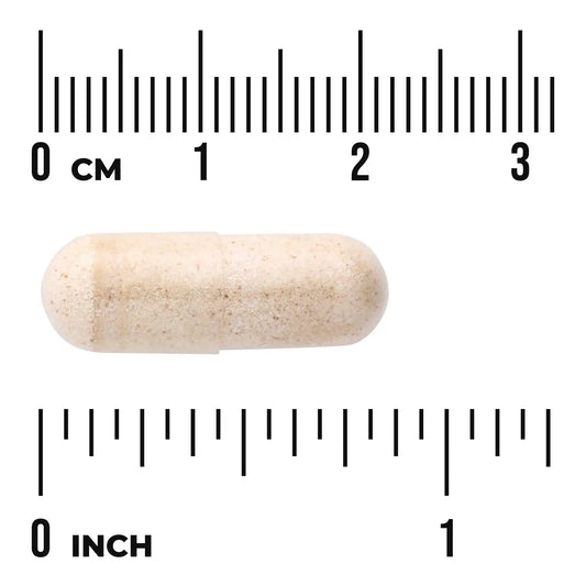 Pygeum - Standardized Extract