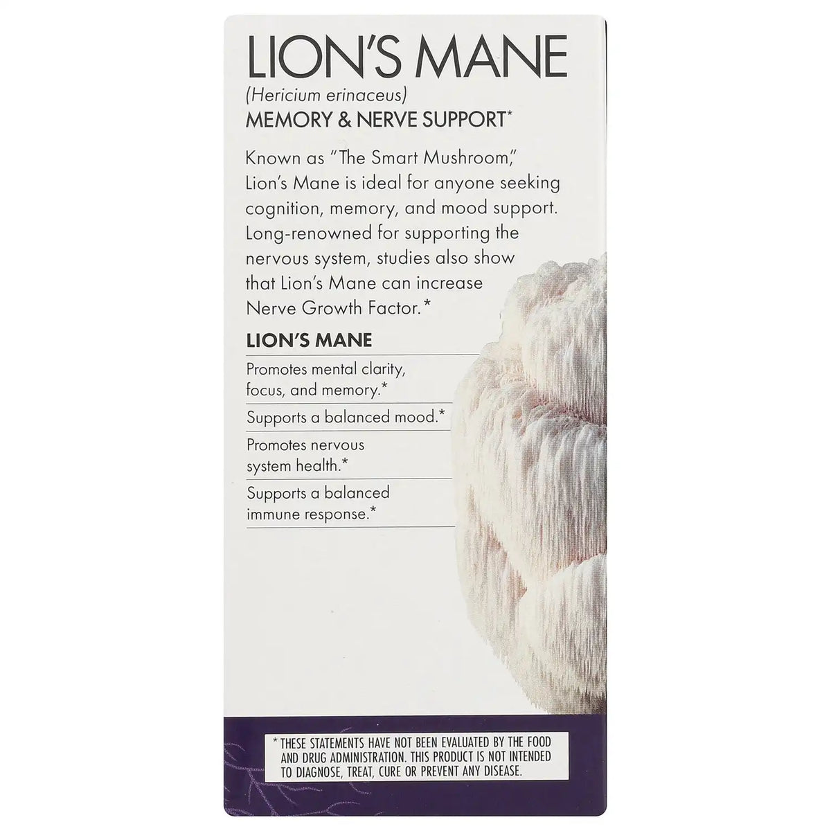 Lion's Mane